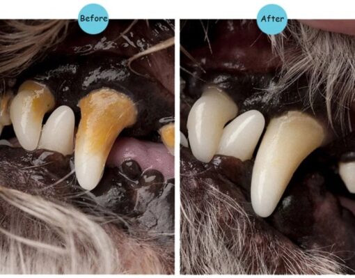 Petstory™ Dog Teeth Cleaning Tartar Removal Oral Care Gel Kit