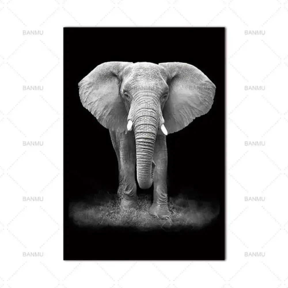 Animal Canvas Wall Art - 20cmx30cm / Elephant