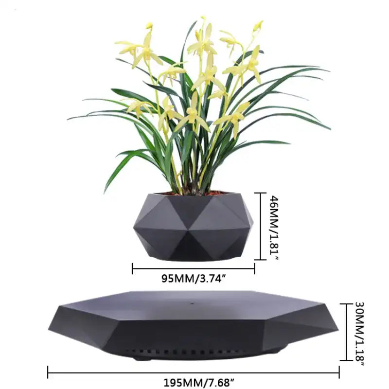 Geometric black planter with a plant, showing dimensions on a white background