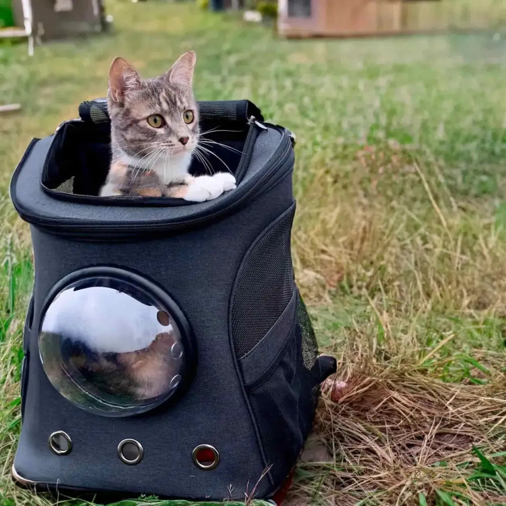 Großer Haustier-Rucksack aus PU-Leder für Katzen und Hunde