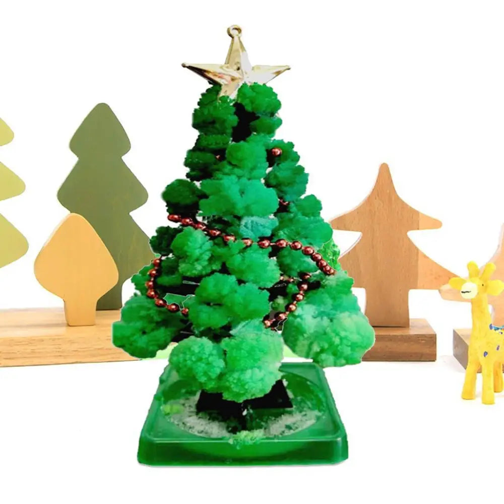 Miracle Growing Christmas Tree