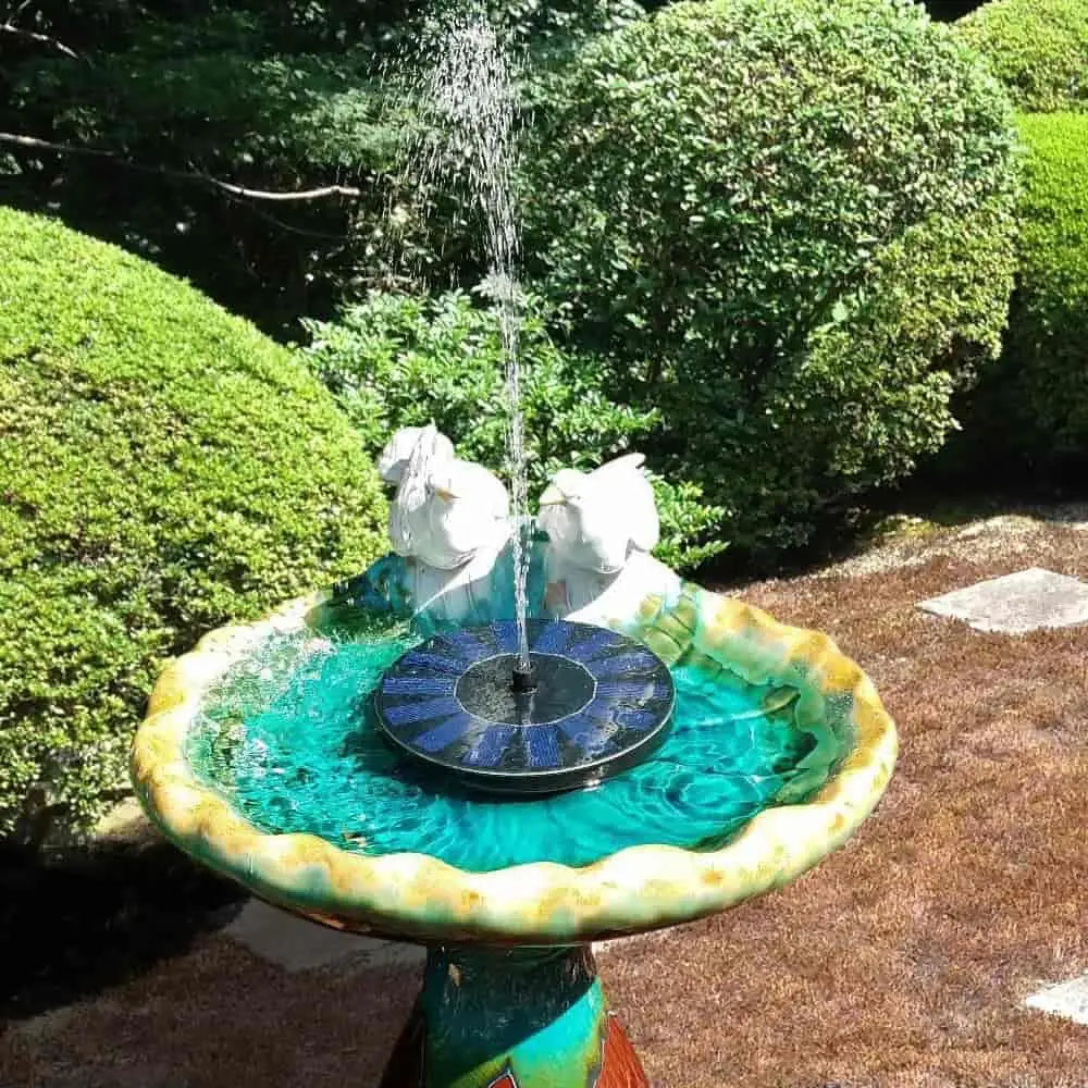 Solar-Powered Easy Bird Fountain Kit