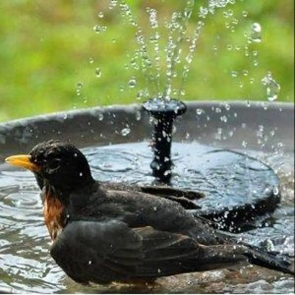 Fontaine de jardin solaire