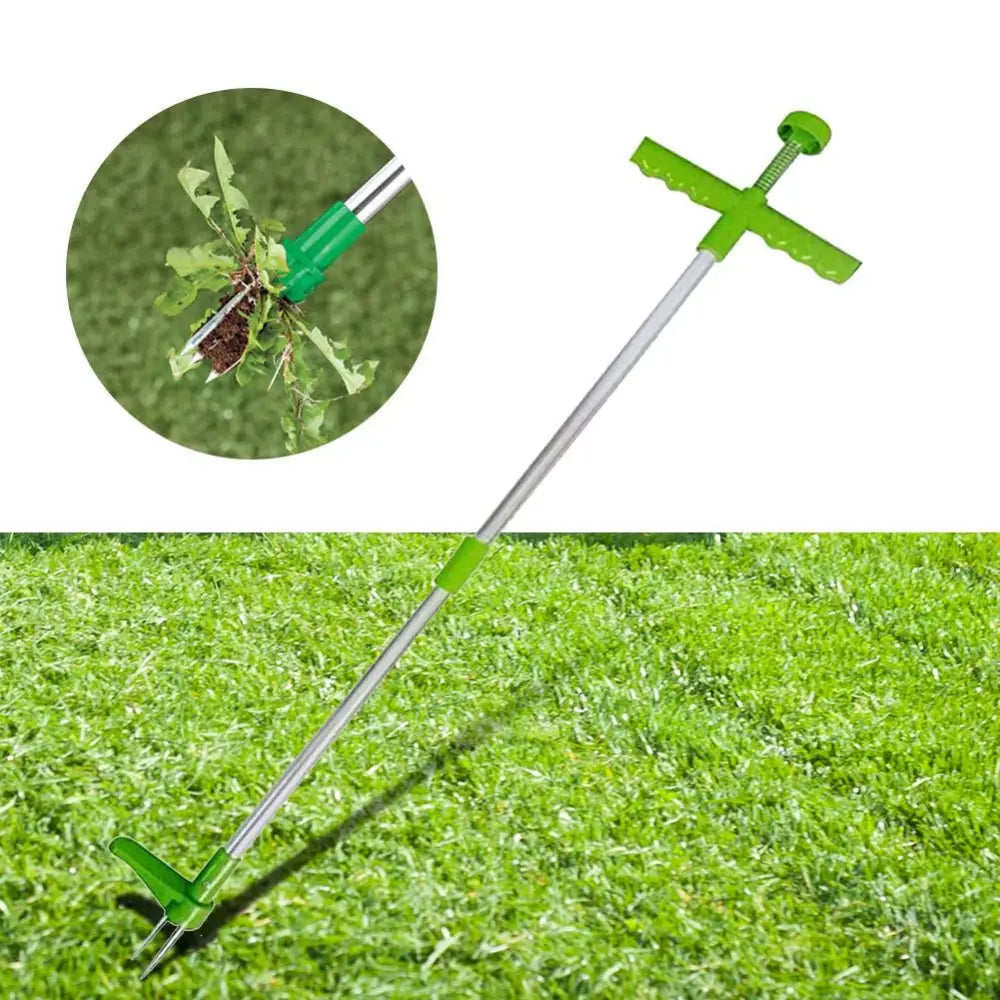 Extracteur de racines de plantes vertical