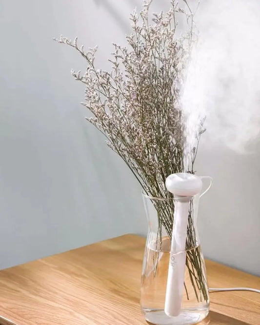Ultrasonic Portable Air Humidifier