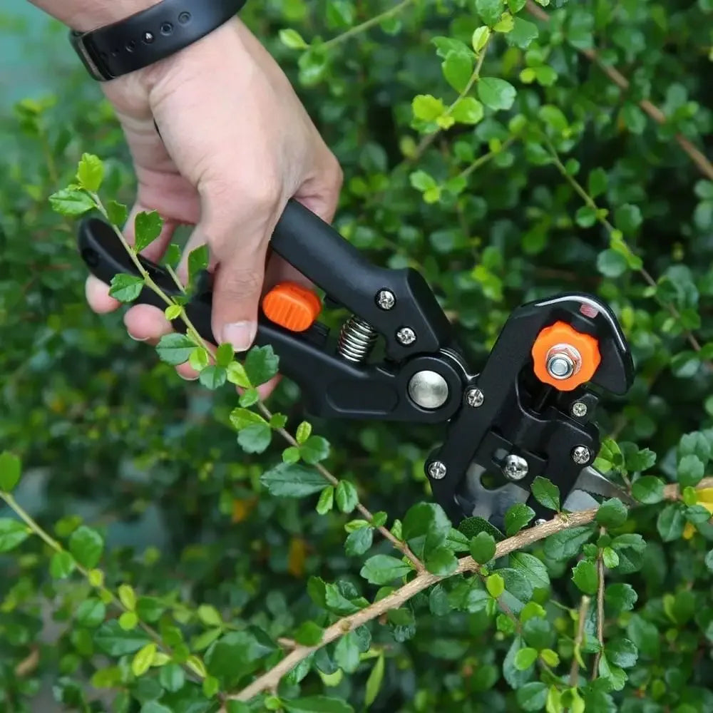 Gardening Tools and Essentials