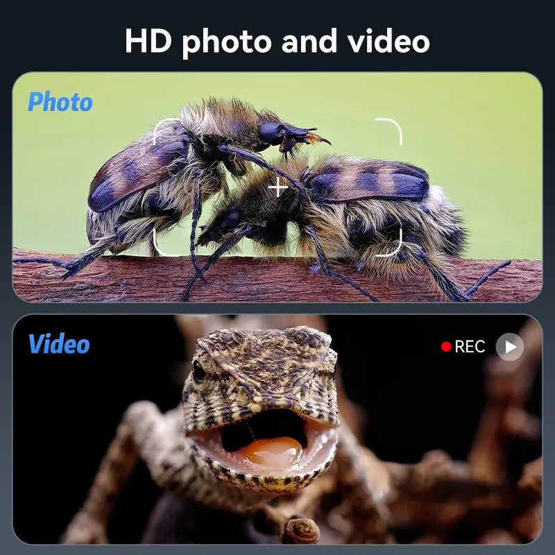 2-inch black leather belt with silver buckle under 1200X digital microscope