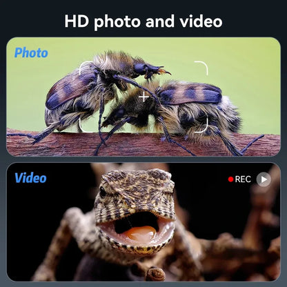 2-inch black leather belt with silver buckle under 1200X digital microscope