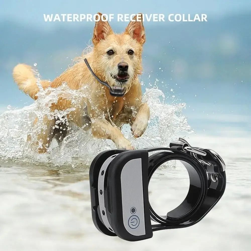 wireless dog fence