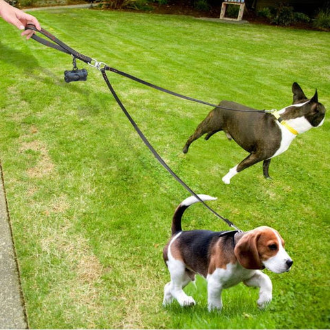 2 Way Leather Double Dog Leash