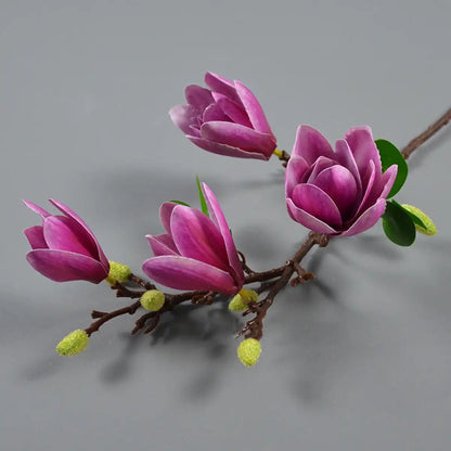 A branch of pink flowers with green buds on a gray background