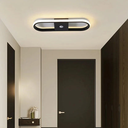 Ceiling light fixture in a modern hallway with a door and wall.