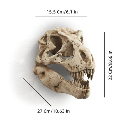 Dinosaur skull model with measurements on a white background