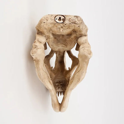 Decorative wall piece resembling a creature with a textured surface on a light background
