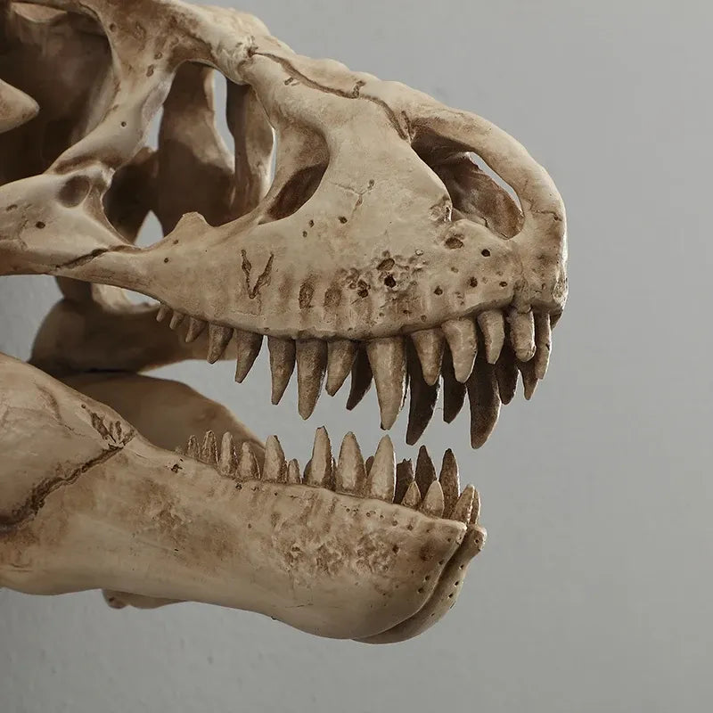 Dinosaur skeleton skull with detailed teeth on a gray background