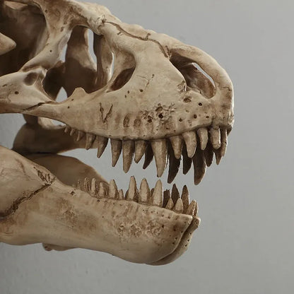 Dinosaur skeleton skull with detailed teeth on a gray background