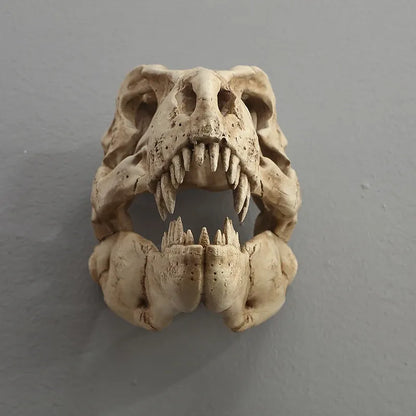 Fossilized animal skull on a gray background