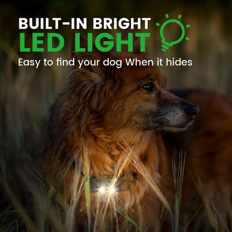 Waterproof Electric Dog Training Collar