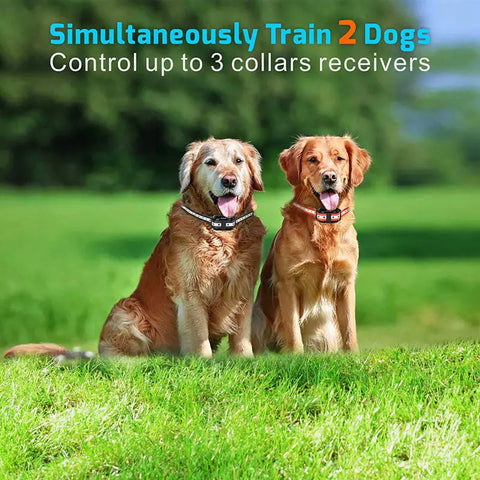 Waterproof Electric Dog Training Collar