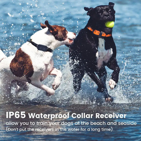 Waterproof Electric Dog Training Collar