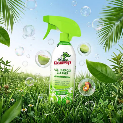 Multipurpose Antiseptic Deep Stain Removal Spray