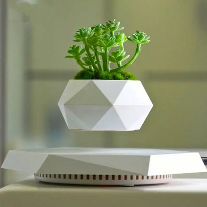 Geometric white levitating planter with a green plant on a blurred background