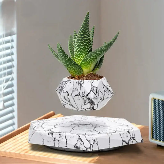 Levitating planter with a green succulent on a marble-patterned base.