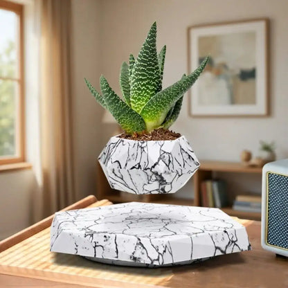 Marble-patterned floating plant stand with a succulent on a wooden surface.
