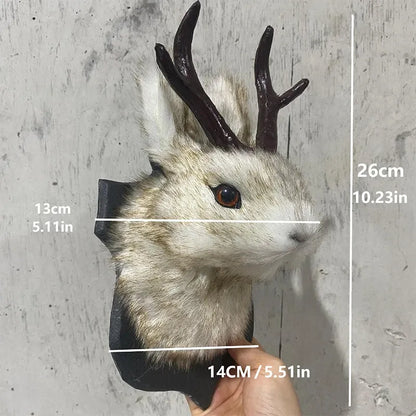 Measurement chart of a deer head mount against a concrete wall.