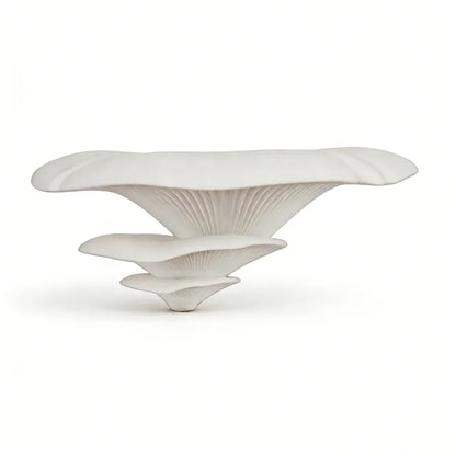 White wavy-shaped Mushroom Wall Shelf  sculpture with a unique, organic design on a white background