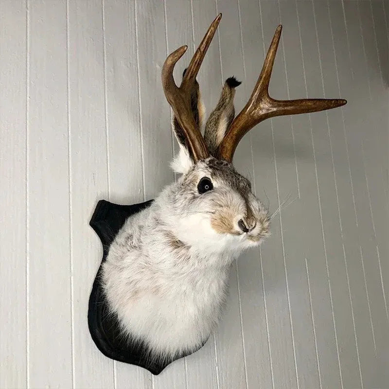 Taxidermy rabbit with large deer antlers mounted on a wall.