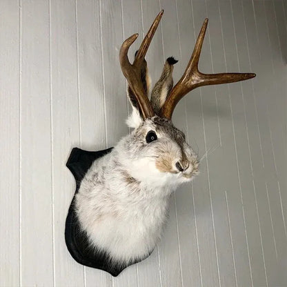 Taxidermy rabbit with large deer antlers mounted on a wall.