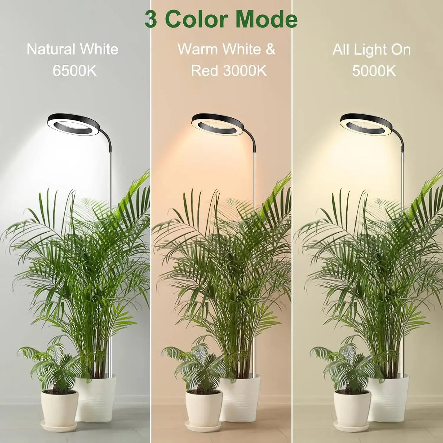Three light modes with plants on a neutral background