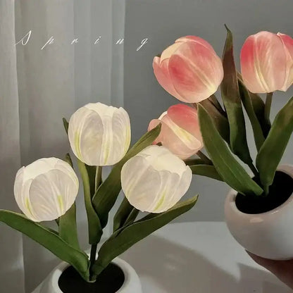Two potted tulip plants with pink and white flowers on a neutral background