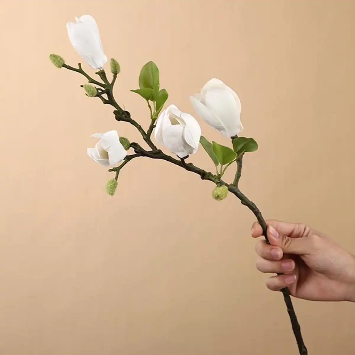 Hand holding a branch with white flowers against a beige background