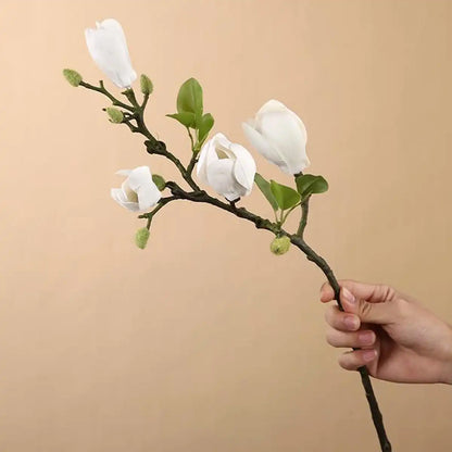 Hand holding a branch with white flowers against a beige background