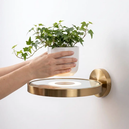 🔥Sale Ends Today - Floating Wall Shelf with Built in LED Light