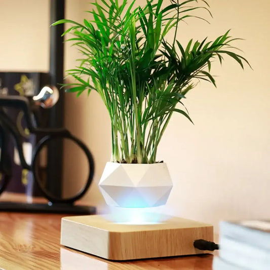 Levitating plant pot with glowing base on a wooden surface