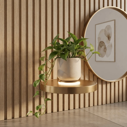 🔥Sale Ends Today - Floating Wall Shelf with Built in LED Light