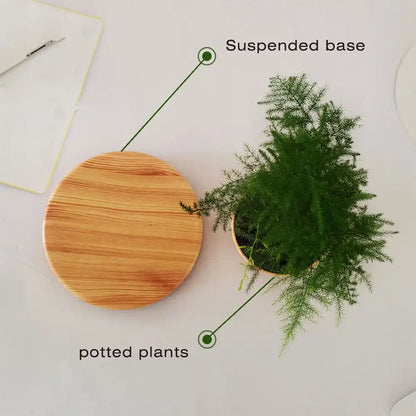 Levitating Air Bonsai Pot - Magnetic Floating Planter with Wood Grain Base
