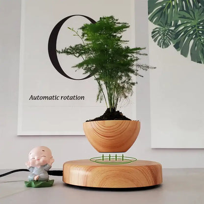 Levitating Air Bonsai Pot - Magnetic Floating Planter with Wood Grain Base