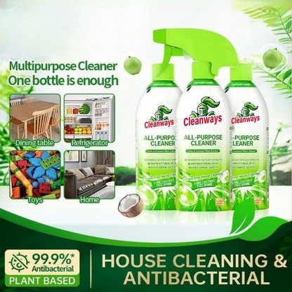 Multipurpose Antiseptic Deep Stain Removal Spray