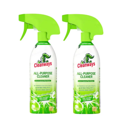 Multipurpose Antiseptic Deep Stain Removal Spray