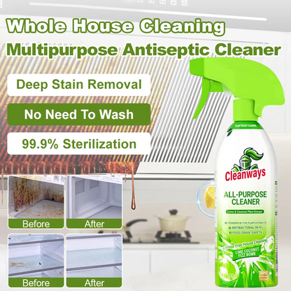 Multipurpose Antiseptic Deep Stain Removal Spray