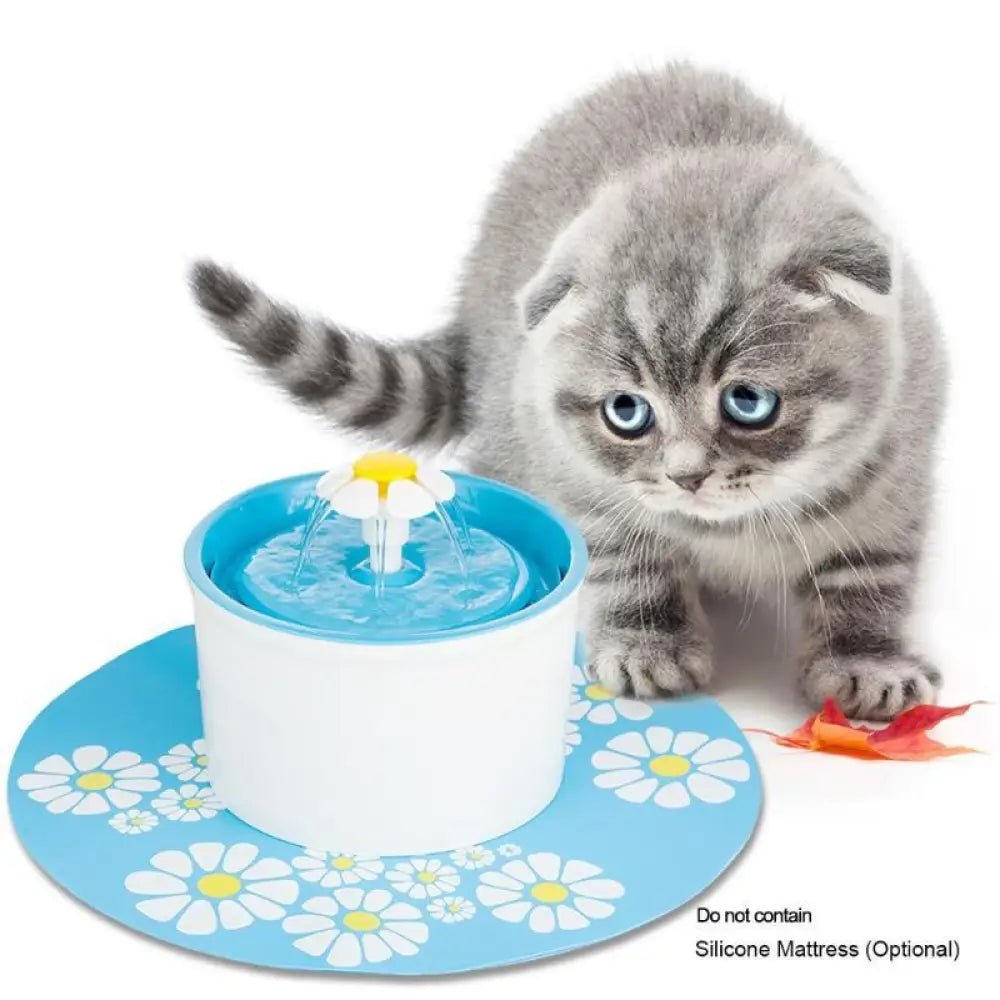Kitty Fountain