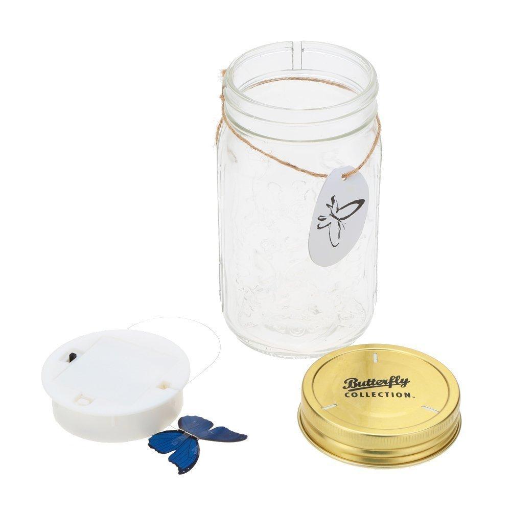 LED Animated Butterfly Jar