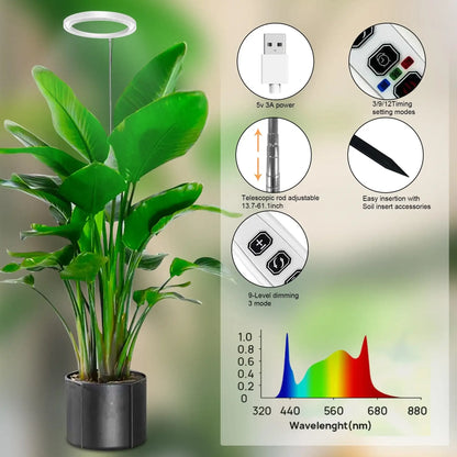 Potted plant with a light fixture and technical specifications on a green background