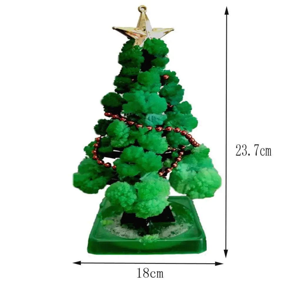 Miracle Growing Christmas Tree
