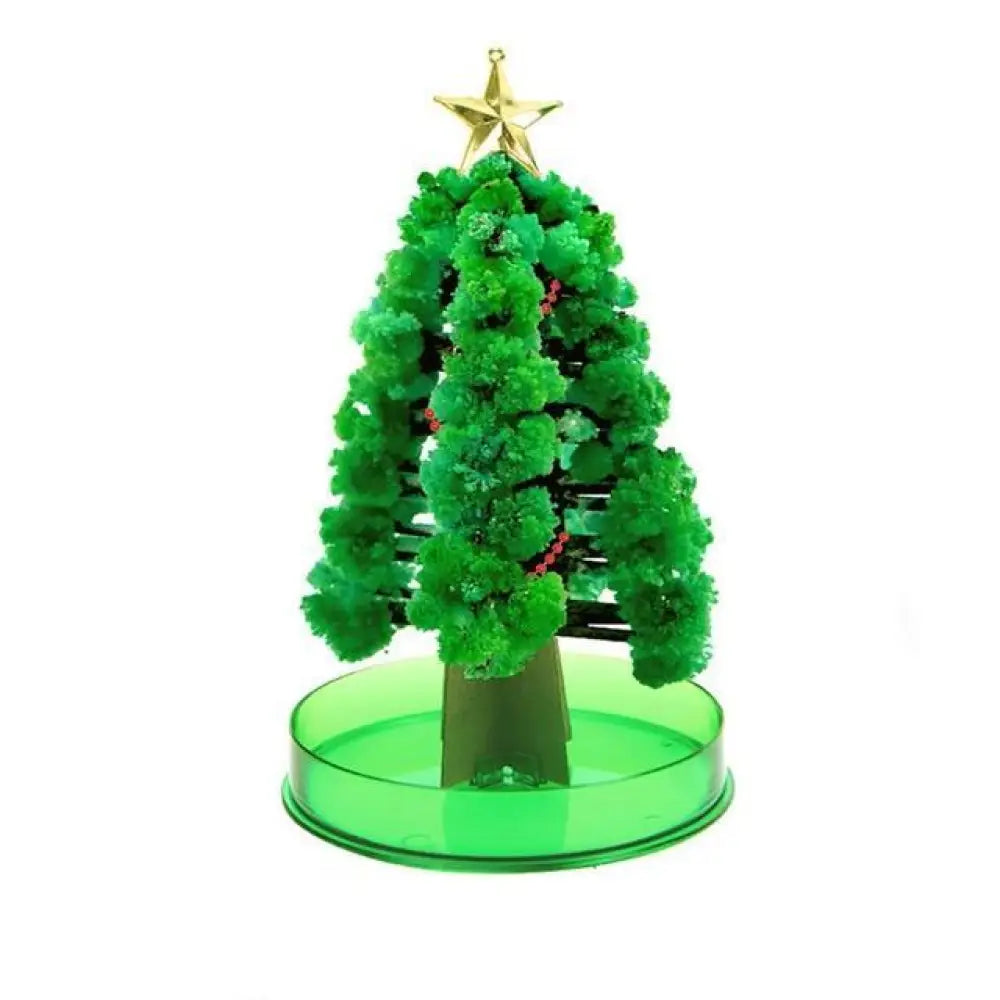 Miracle Growing Christmas Tree