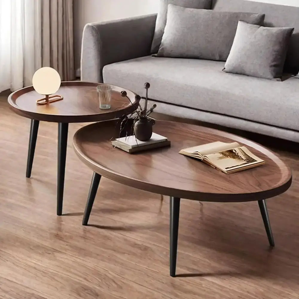Modern Coffee Table & Side Table Set